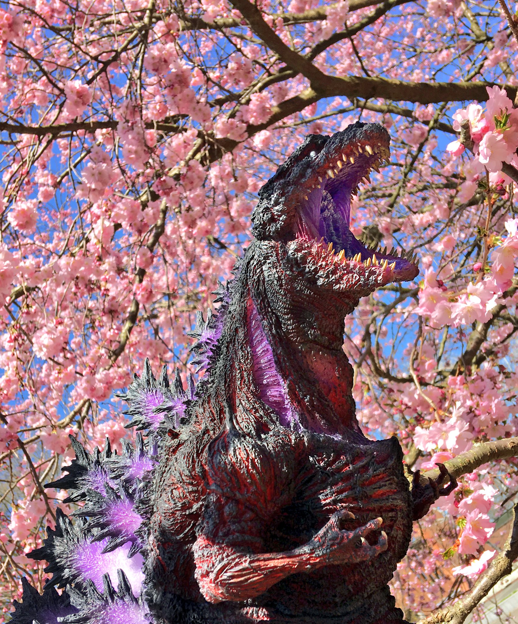 Godzilla🫶🇯🇵 on X: 