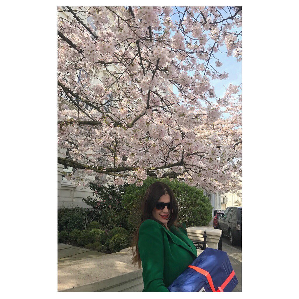 Sarah Reygate tweet media