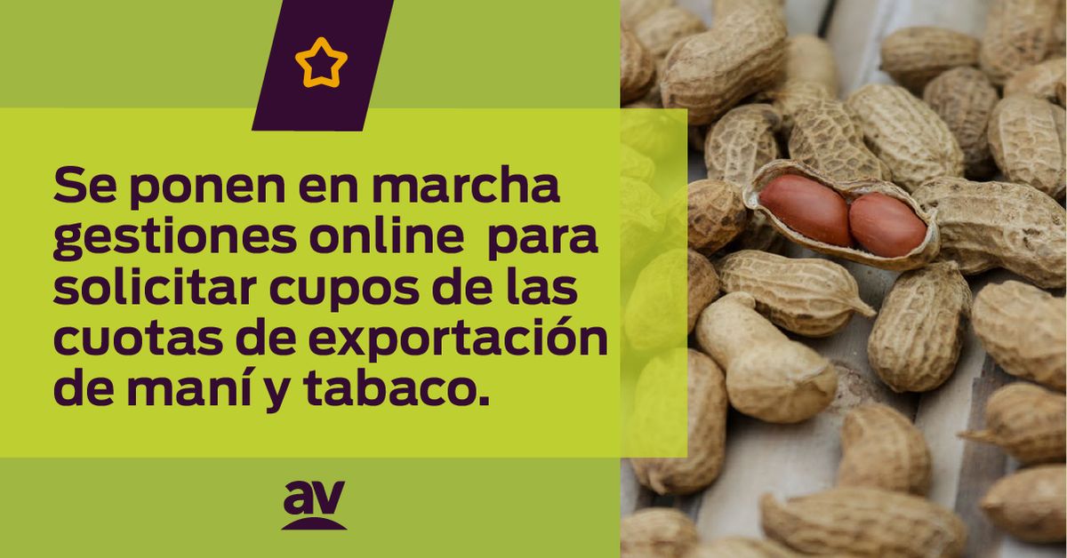 lavozagro's tweet photo. ¡Buenas nuevas para la exportación 💪! Se agilizan los
trámites para poder vender maní a EE.UU.😃. Mirá la nota completa acá: https://t.co/a3X7mtCnPK https://t.co/8HtqIaLgza