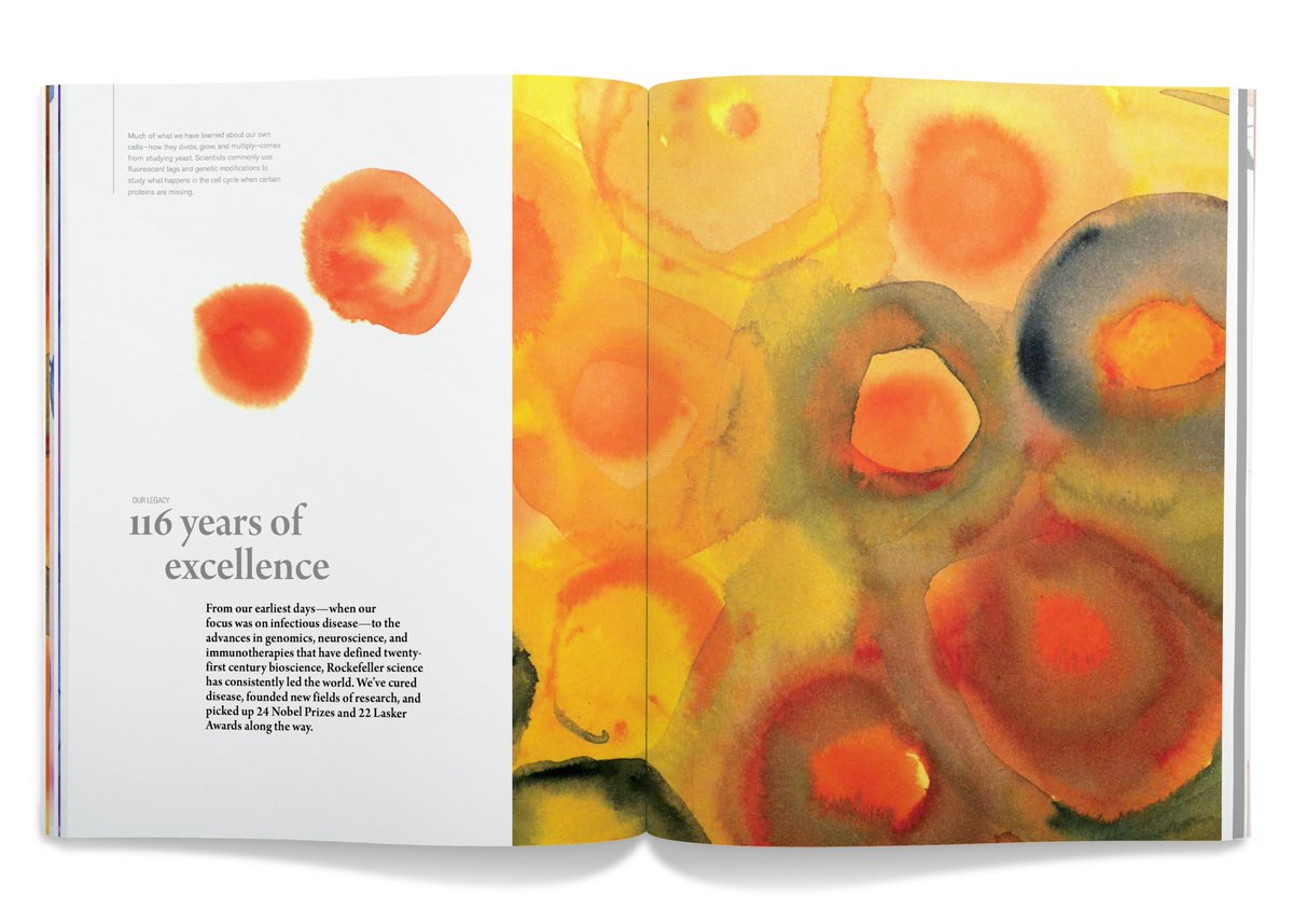 cgpartners's tweet photo. Honored to win a @HOWbrand International Design Award in the #Annualreport / #Brochures category for our @RockefellerUniv report that transforms #bioscience to modern art #designawards #designforculture https://t.co/x8Uvc3zBrW https://t.co/1WXcIDUJt1