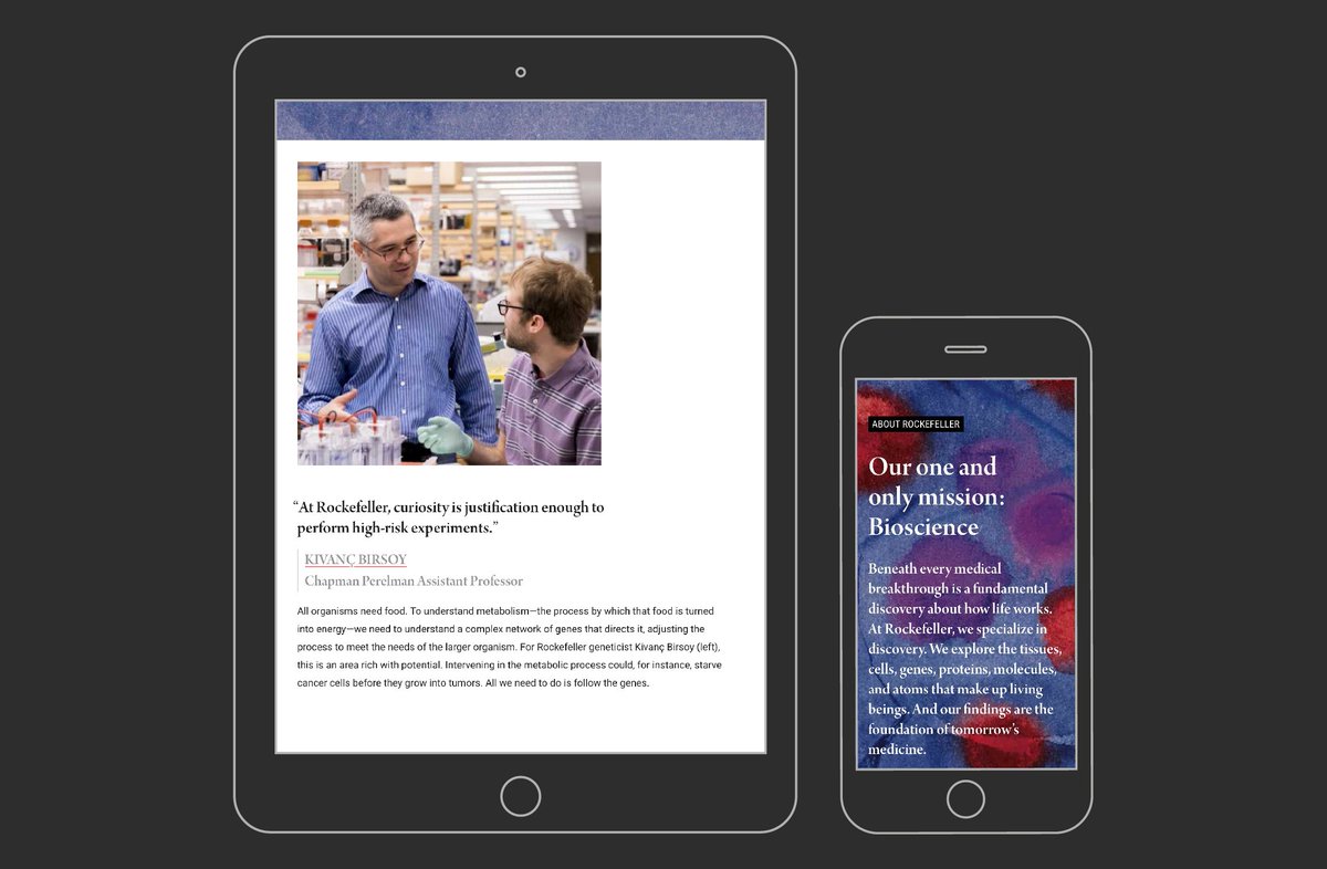 cgpartners's tweet photo. Honored to win a @HOWbrand International Design Award in the #Annualreport / #Brochures category for our @RockefellerUniv report that transforms #bioscience to modern art #designawards #designforculture https://t.co/x8Uvc3zBrW https://t.co/1WXcIDUJt1