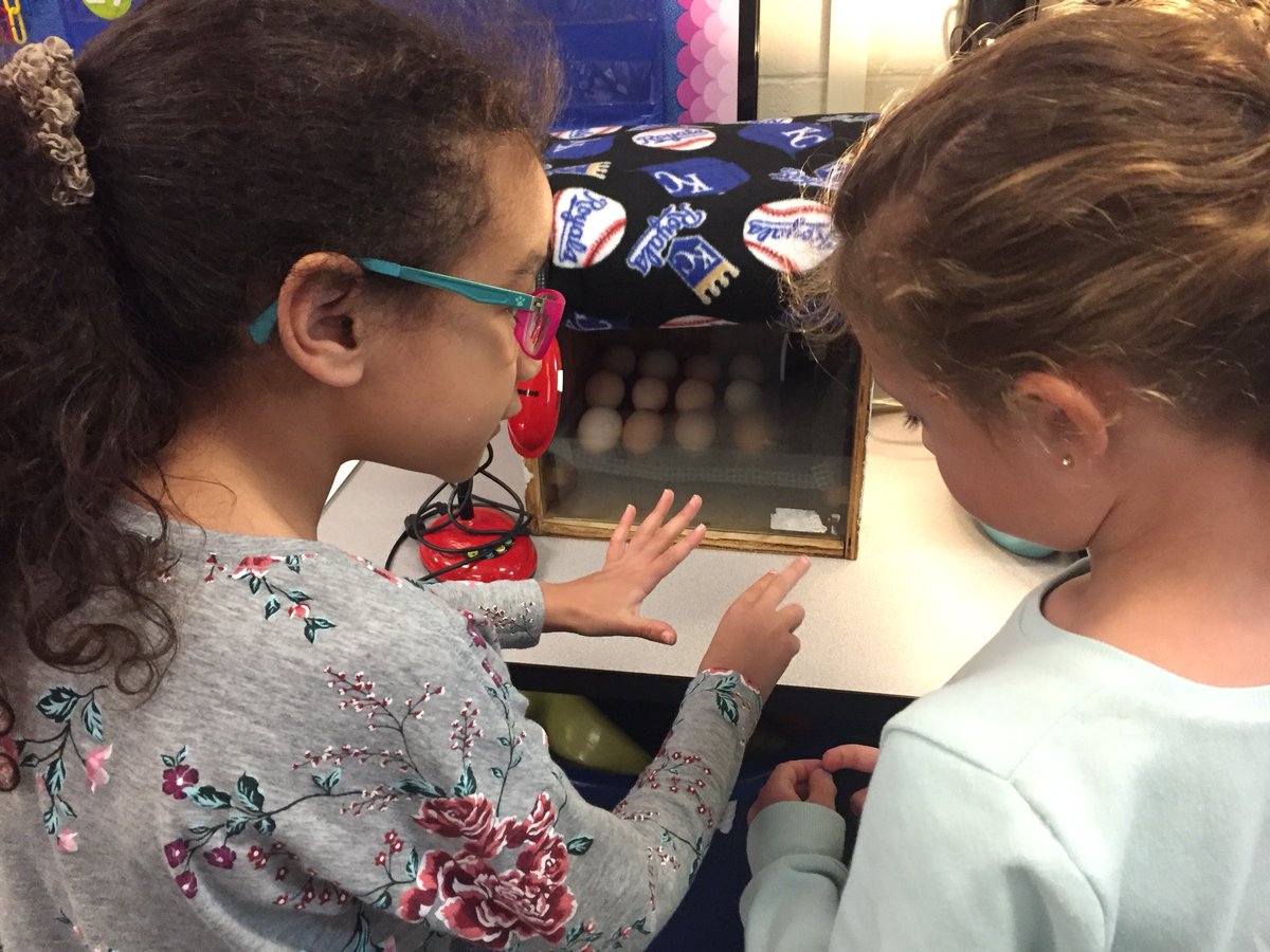 MsGosnellsClass's tweet photo. Loved having @MissWallsRocks and friends join us to learn all about #LSChicks2018 #LSsharks #LPSLeads https://t.co/wNMsab31fB