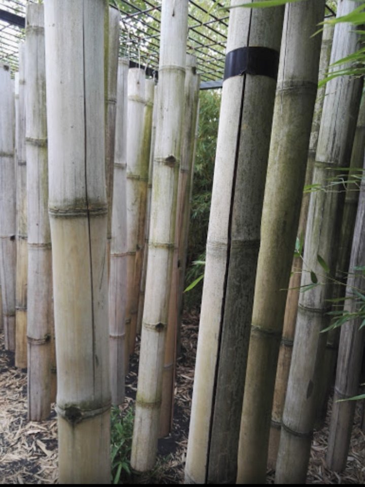 liseth57's tweet image. Les jardins fruitiers d'Ars Laquenexy