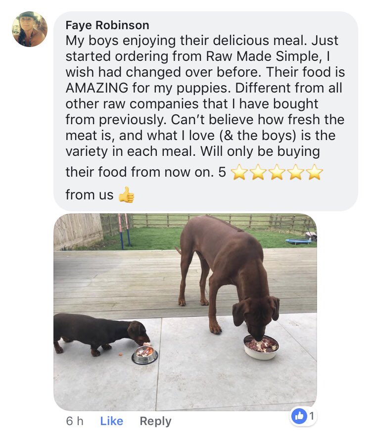 RawMadeSimpleUK's tweet photo. Another fantastic review. What are you waiting for? Try us today and see what everyone else is talking about. https://t.co/fo5FpS1QDt