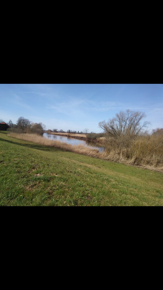 _LeMoog_'s tweet image. So, I just returned home after 40km of bicycling. Not sure whether I&apos;ll be able to walk next week ... ^^
At any rate I&apos;ll hurry to take a warm bath now. 
:
#springproblems