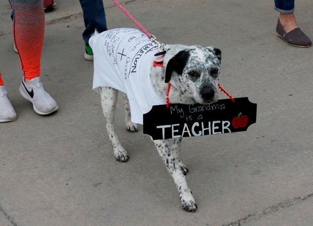 Oklahoma teacher walkout stretches into 5th day.  ottawamatters.com/world-news/okl… https://t.co/SMN6EUStoy