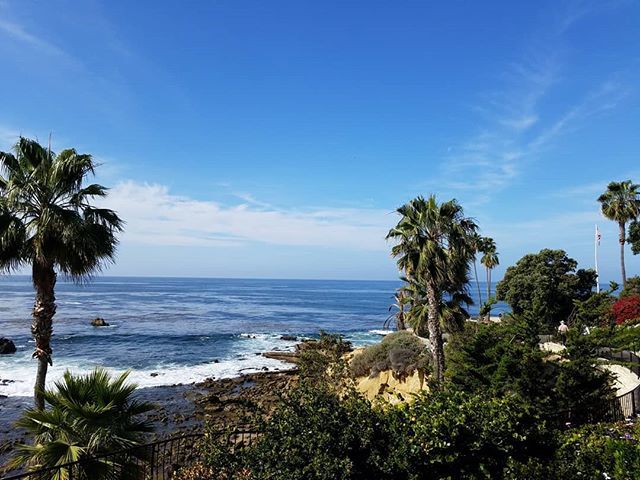LagunaBeachComm's tweet photo. Happy #friday #lagunabeach #friends 🌴😍🌴 We're having another #photo #contest be sure to use #lagunabeachcommunity or #lagunabeachcityguide while you're having #fun in #laguna to be entered!
#lifeinlagunabeach #welcometolagunabeach https://t.co/TMvTDuNdzG