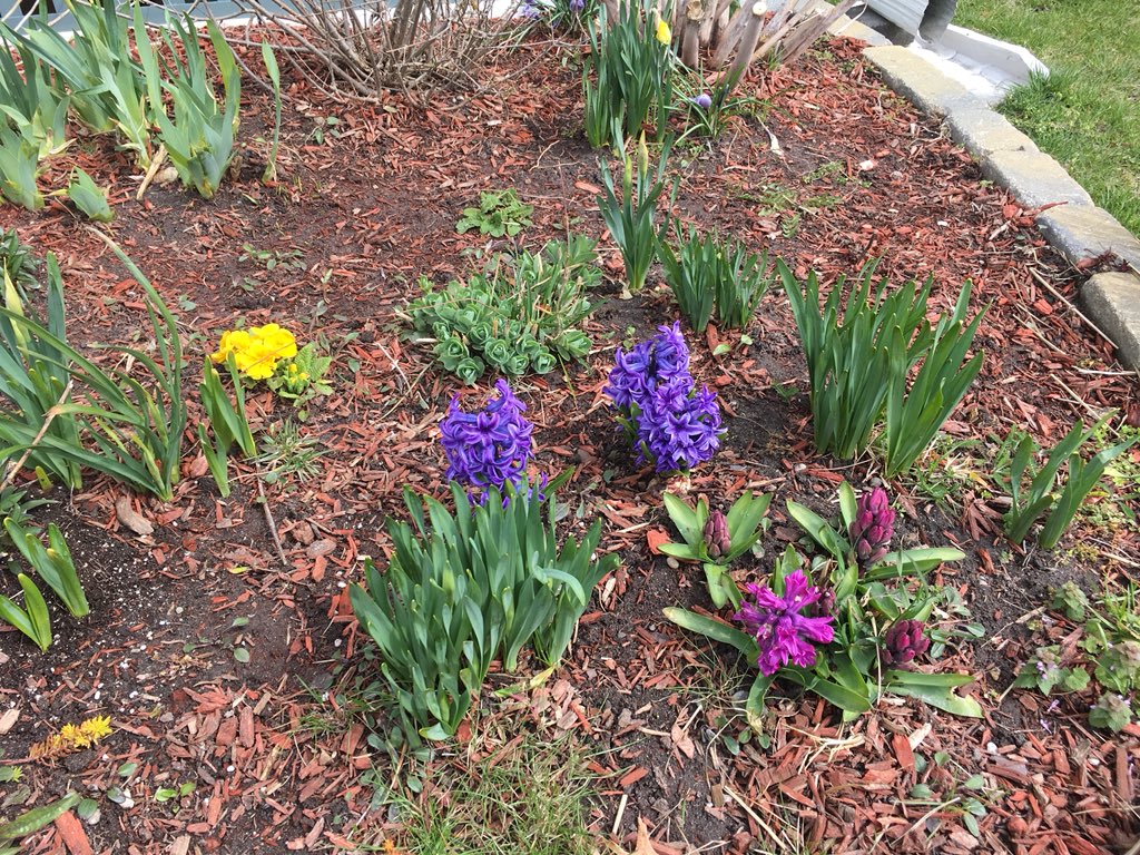 Nita Ideas tweet media