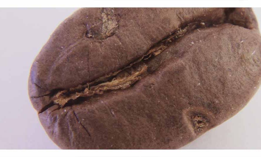 Duplicate3D's tweet image. For my blog about 3D scanning on a macro level that&apos;s comming up. A nother Great macro photo 
.
#3d #3dprint #3dprinting #3dprinted #3dscan #3dscanning #awesome #art #artist #photo #photography #photogrammetry #macro #technology #sculpture #photo #foodporn #food #cooking #cute