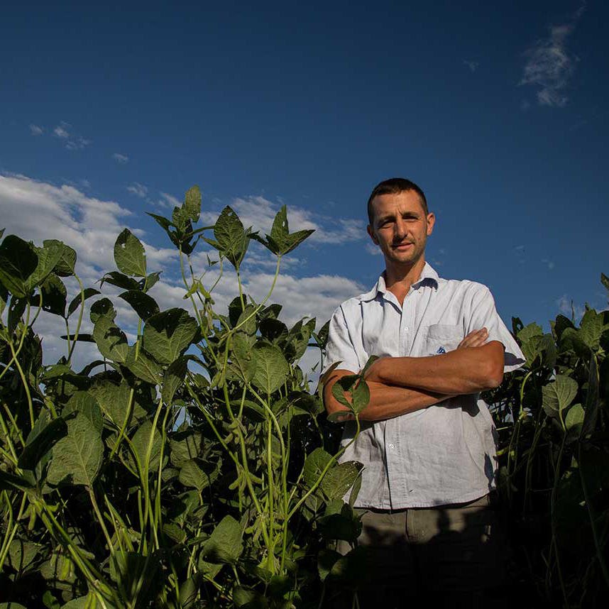 Forbes_at's tweet photo. Argentinien ist der drittgrößte Soja-Produzent. @Grupo_LosGrobo erklärt wie das Geschäft mit der Bohne funktioniert. Mehr dazu: 
https://t.co/Cjl3js44YT #Soja #Tradewar #China #USA #Trump https://t.co/6Jv7xcAG1D