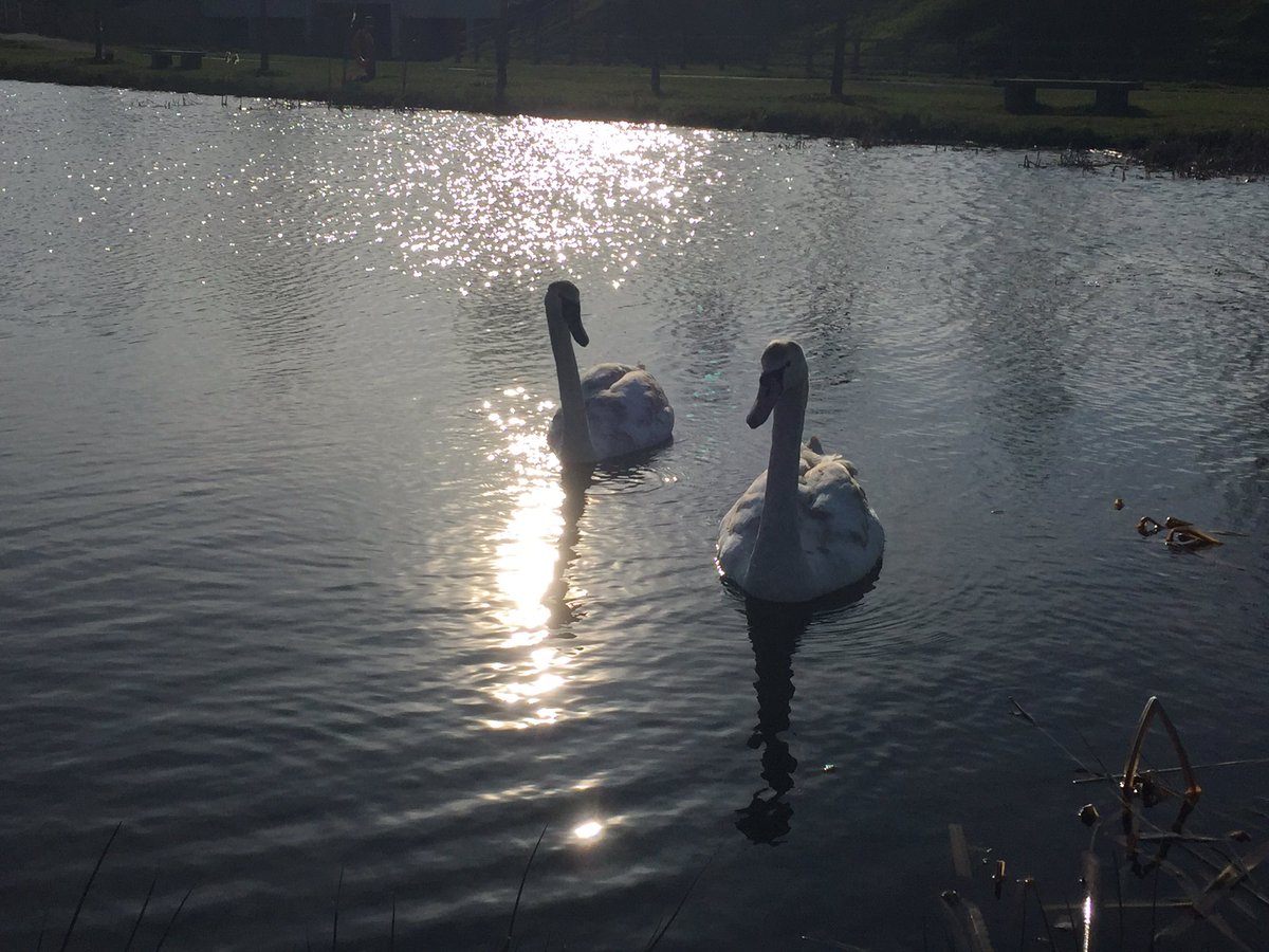 mackthevicar's tweet photo. Lovely evening walk around Finberry lakes - such a great place to live #finberry https://t.co/fg86J5opHE