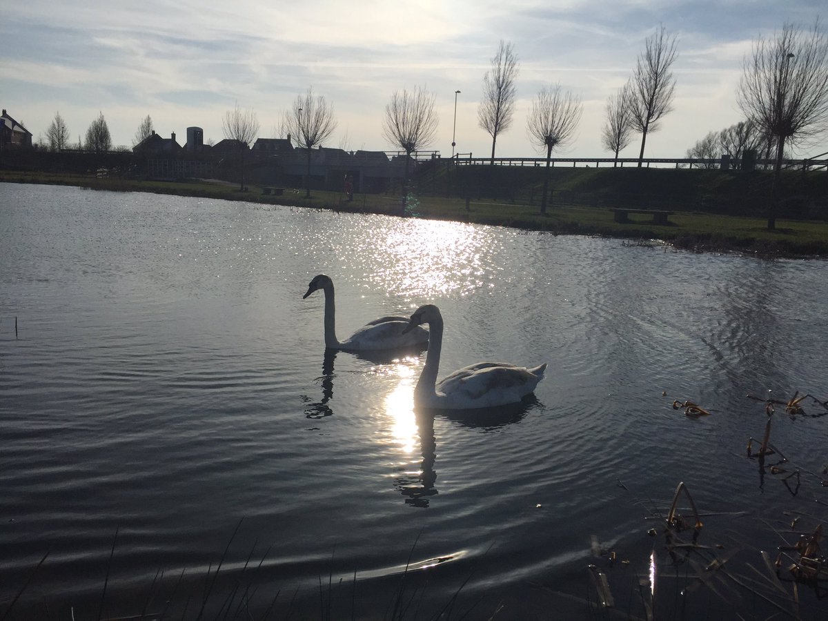 mackthevicar's tweet photo. Lovely evening walk around Finberry lakes - such a great place to live #finberry https://t.co/fg86J5opHE