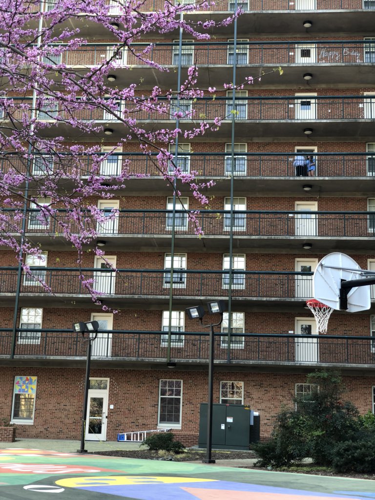 The University of North Carolina at Chapel Hill tweet media