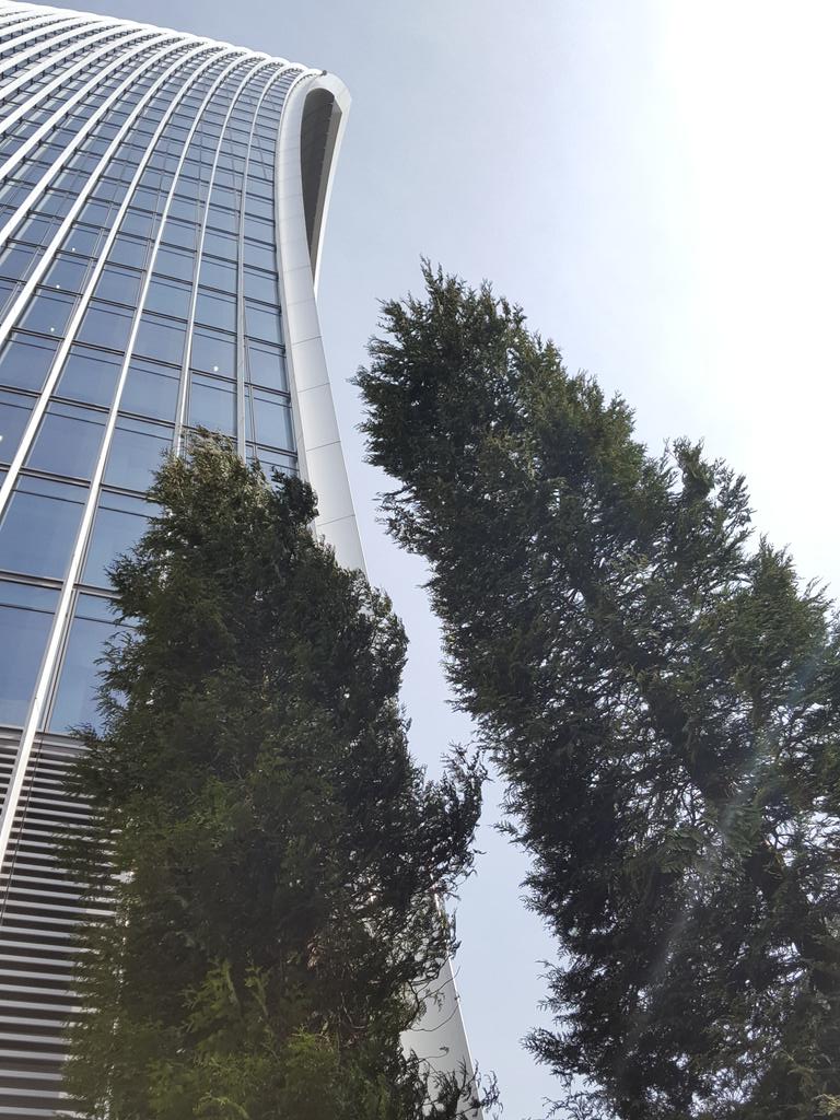 juliefutcher's tweet photo. new trees at the bottom of #20FC. wonder how long they will last? #urbanclimate rules! https://t.co/ghcoTHcdwS