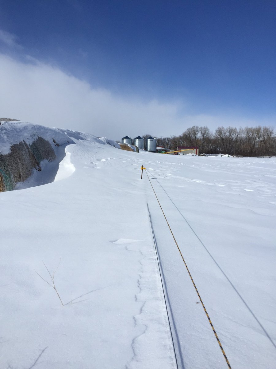 Cold Weather Challenging for Cow-Calf Producers dlvr.it/QNh0C4 https://t.co/uggEE6ns44