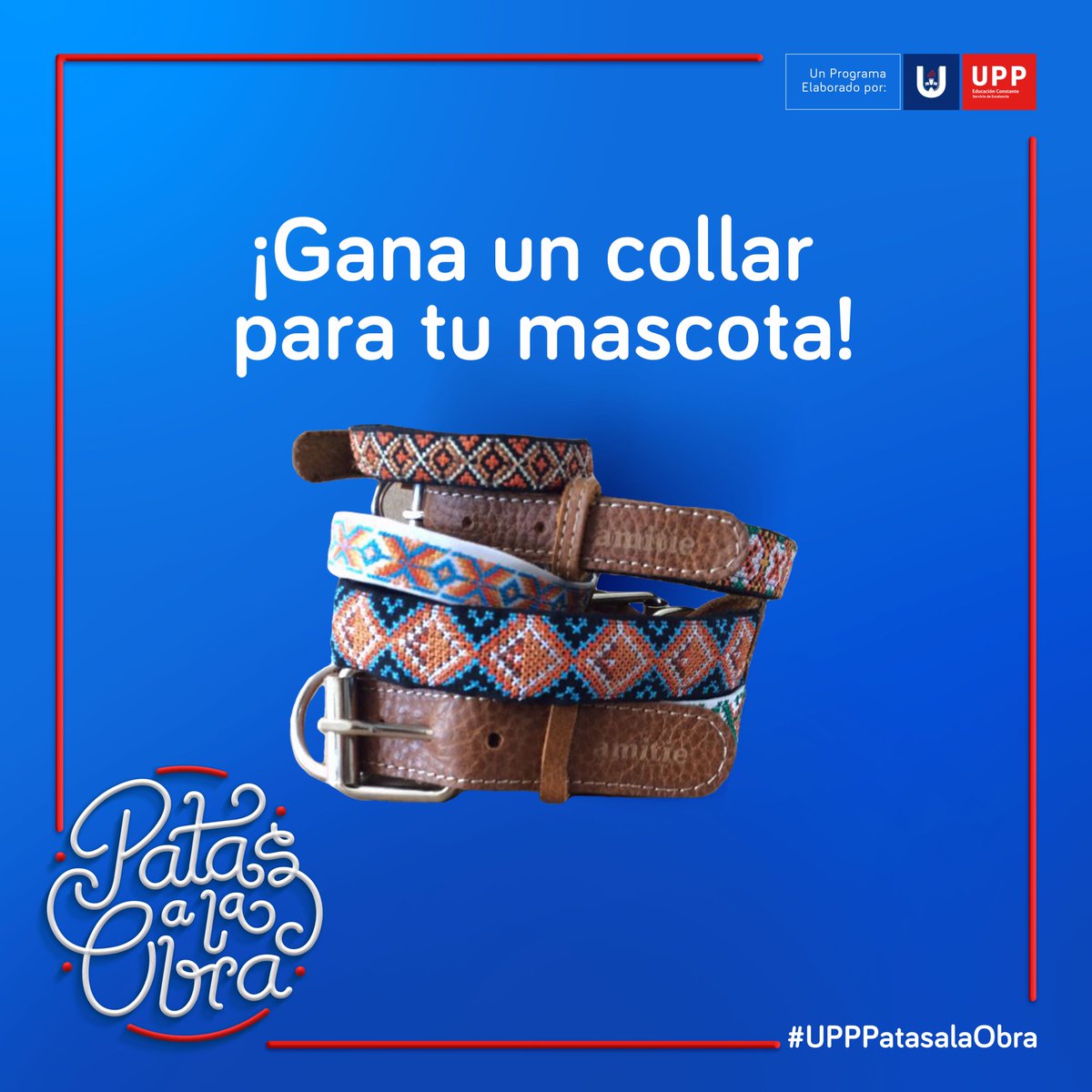 UPP_MX's tweet photo. ¡Conoce la dinámica en https://t.co/RtyxjHj6Cs !
🐶 #UPPPatasalaObra  🐱 https://t.co/6NjMmIUK0c