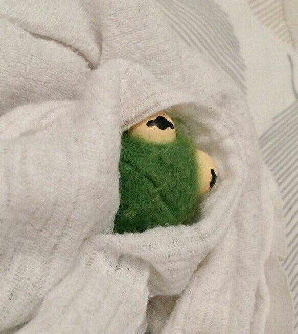 Directione8569's tweet photo. Segue imagens da minha vida após o hiatus da 1D:
#HelloOneDirection 
#HelloOneDirection 
#HelloOneDirection 
#HelloOneDirection https://t.co/9pXPXwHlnK