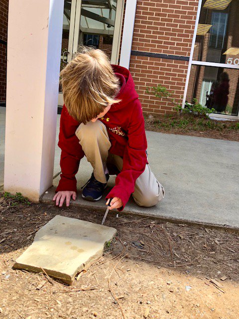 HIESbears's tweet photo. Third-graders in Mary Quarles' science lab go outside to explore and discover what natural items repel and absorb water droplets! #HIEScience #HIESbears https://t.co/iVIWcStbEy
