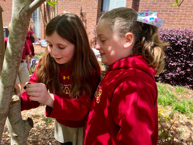 HIESbears's tweet photo. Third-graders in Mary Quarles' science lab go outside to explore and discover what natural items repel and absorb water droplets! #HIEScience #HIESbears https://t.co/iVIWcStbEy