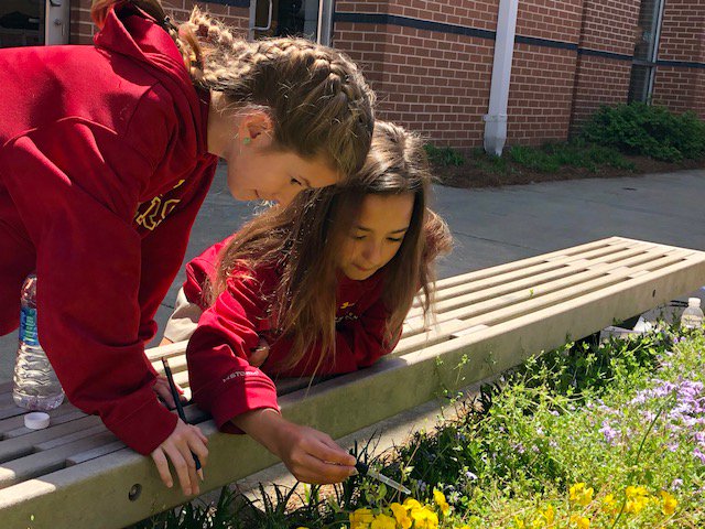 HIESbears's tweet photo. Third-graders in Mary Quarles' science lab go outside to explore and discover what natural items repel and absorb water droplets! #HIEScience #HIESbears https://t.co/iVIWcStbEy