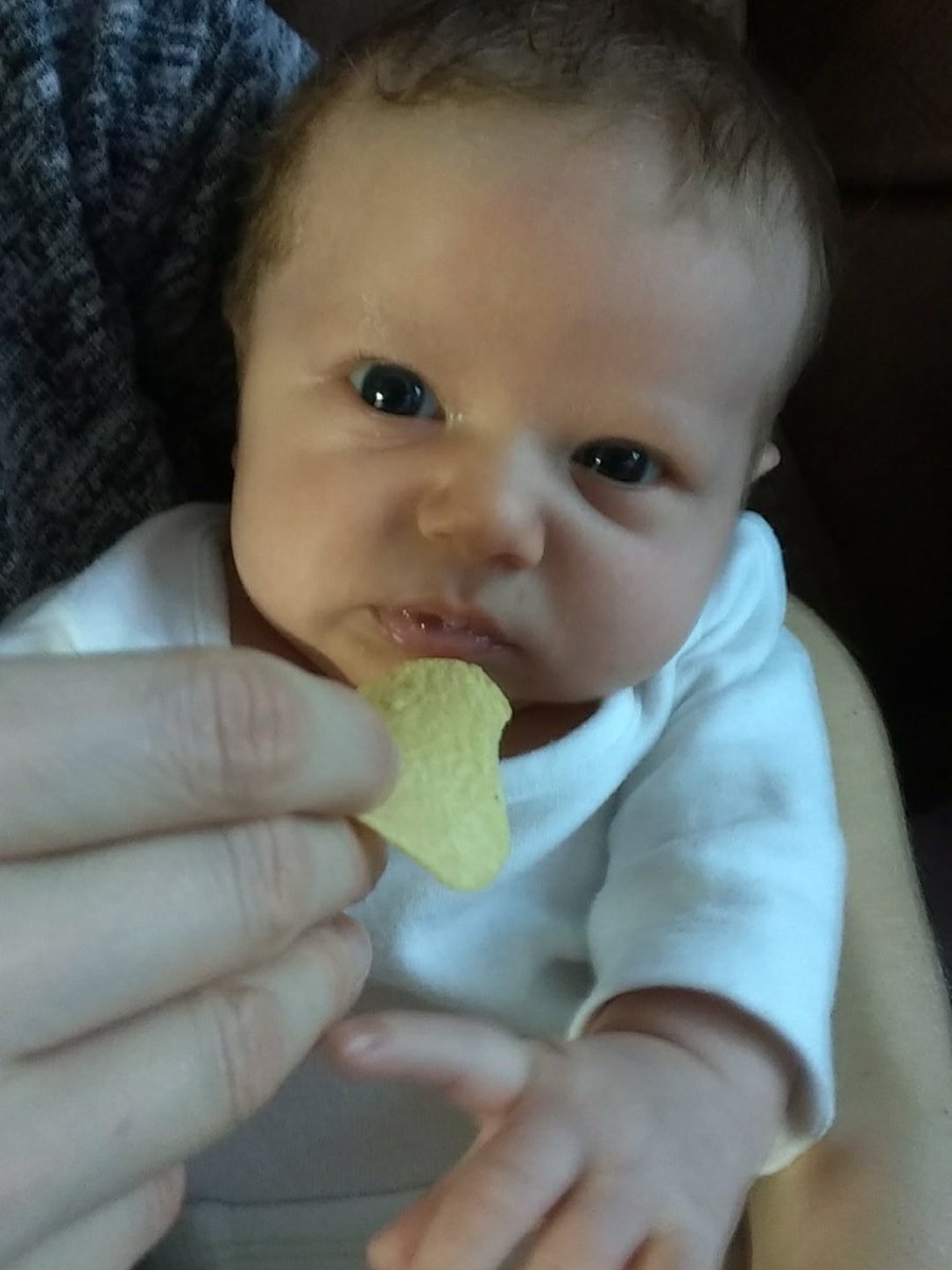 The Chilli Tree tweet media