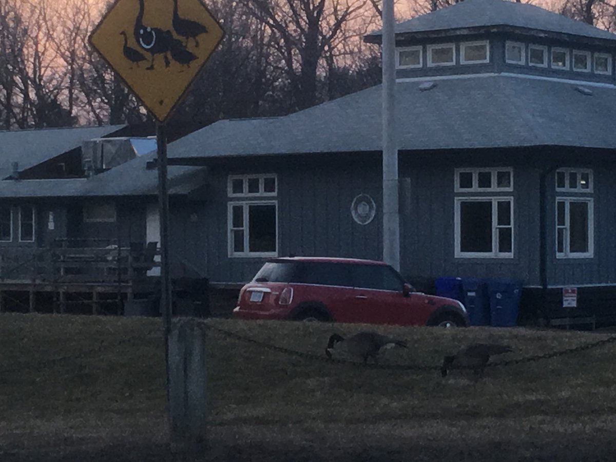 StarfinderPod's tweet photo. @Daigle There are so many near lake Ontario that we have crossing signs for them. https://t.co/C06w7N1szf