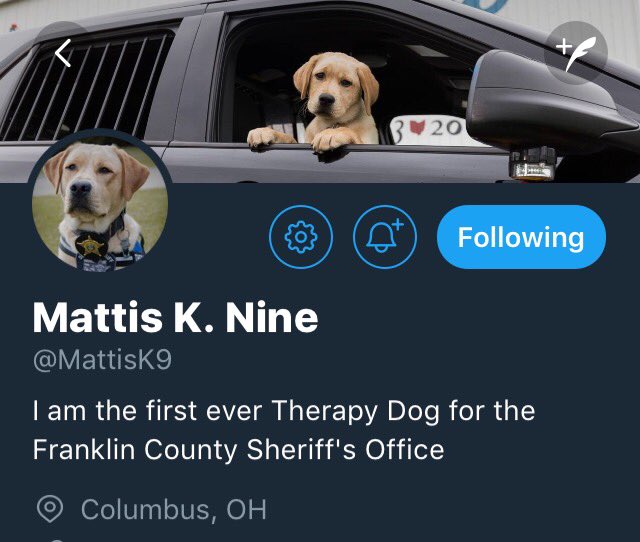 Good day everyone!  

    Only needs 8 more followers 

               #FollowRetweet 
 
 👉 @MattisK9 👈 

#TherapyDog #K9sOfTwitter