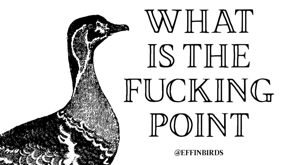 EffinBirds's tweet photo. https://t.co/bS6yFxKnqq