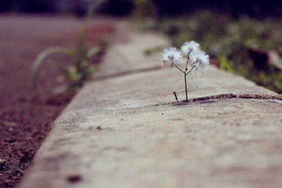 bnk5_d's tweet photo. إرضاء الناس أشبه بطريق طويل 
ينتهي ، بلوحة إرشادية مكتوب 
عليها : " عذراً الطريق مسدود! " 
.

#شيله_الجو_راق
.

💞🕊 https://t.co/UVbpeBEUIb