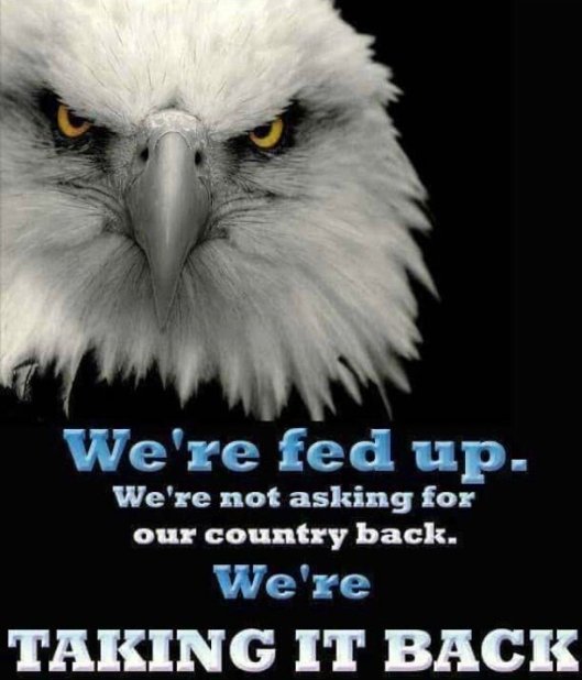 CyborgTheRevela's tweet photo. @realDonaldTrump #MAGA #QAnon #AmericaFirst 
At first they laughed.
They thought it was just a joke.
They're not laughing anymore.
Today they realize the gravity of the situation. https://t.co/boVSEysFWR