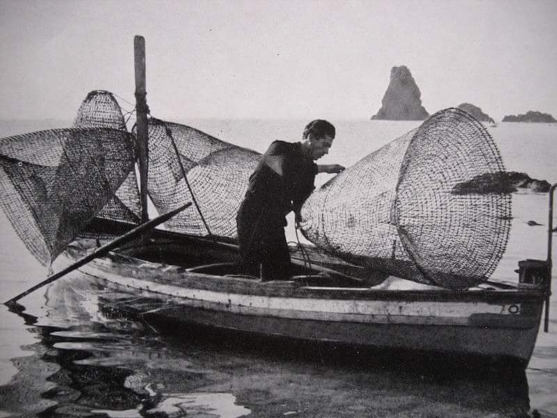 120ContiniRadic's tweet photo. “Ma con cosa si pescano le #Aragoste?” “Si pescano con le #Nasse,raggiungono i 120 cm di altezza.” “Cosa sono?”"#Trappole per i pesci e i crostacei. Si realizzano intrecciando rami di #Giunco. Pensa che  a #Castelsardo esiste un #Museo dedicato all’#arte dell’intreccio"
#sardegna https://t.co/w4TUpv2Y7p