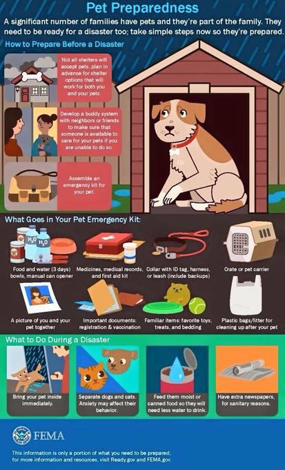 PreparedBC's tweet image. A significant number of people have #pets in their family. They need to be ready for a #disaster too! Find more information at ready.gov/pets @fema