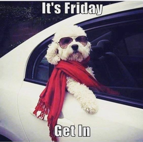 CbdDesign's tweet image. Happy Friday! Where are your weekend plans taking you? #FridayFun #weekendvibes #CBDdesign