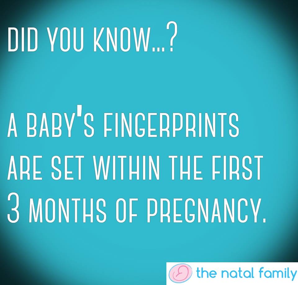 MummyNatal's tweet photo. Friday Fact

Does your baby have their own individual markers yet? How far along are you? https://t.co/csu3oWsRvw