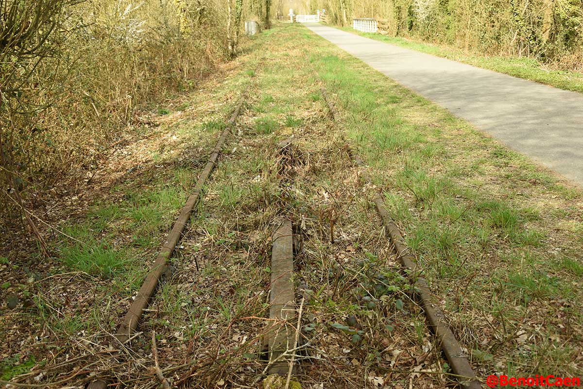 L'avenir de la ligne Caen-Flers - Page 4 DaHu7_8XcAAczIY