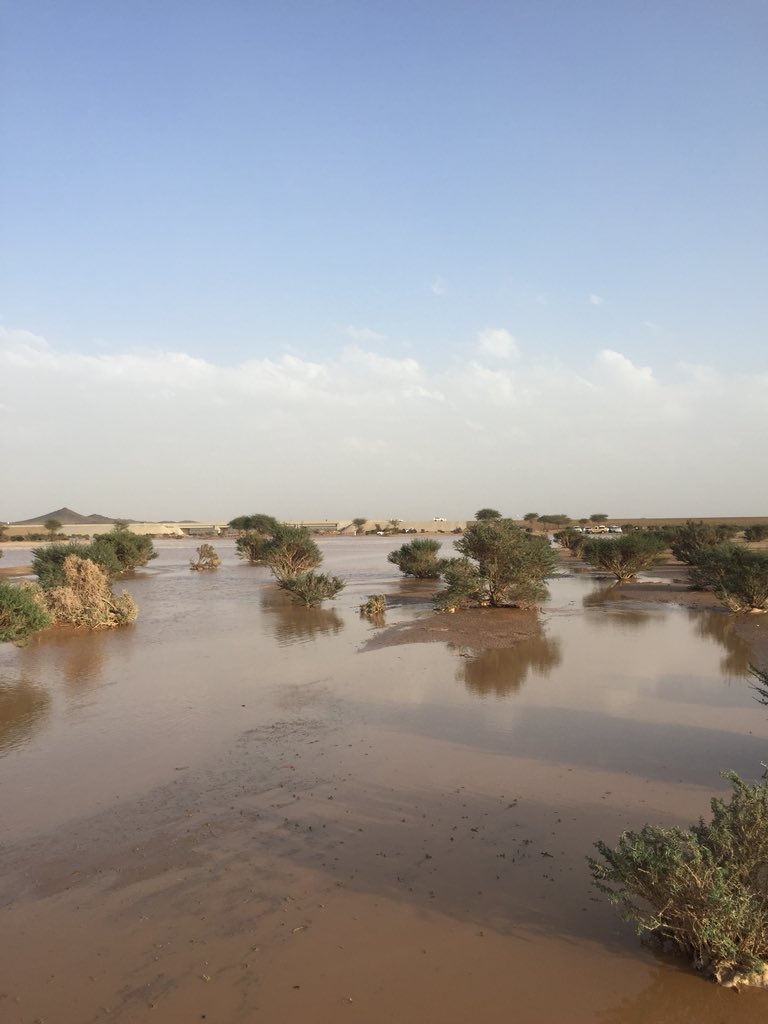 al_quhtumah's tweet photo. #امطار_قريه_القحطمه .. هطلت اليوم #أمطار غزيرة على #قرية_القحطمة سالت على إثرها #وادي_القحطمة و #وادي_الركو و #وادي_الشنان وكانت مصحوبة بزخات من البرد جعلها الله أمطار خير وبركه وعم بنفعها أرجاء البلاد . https://t.co/2FaTeDzARH
