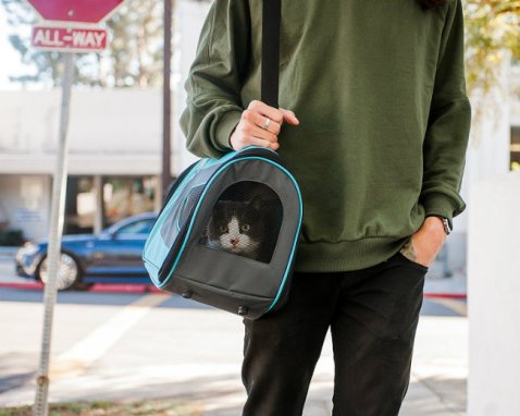 PetMagasin's tweet photo. Check Out the Pet Magasin website today and visit them on our social media as well
https://t.co/mj0mZwlhz1 
#petcare #petcarrier #petmagasin https://t.co/SkRxIwJXLw