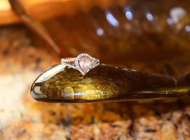RogersShine's tweet photo. Blissful Rose Photography (@blissfulrosephotography)
beautifully displays her engagement ring:

"A favorite of mine. I was playing around with editing so I figured hey why not capture my own engagement ring?  #209weddings #engagedmanteca #samuelsjewelers" https://t.co/KNOneKiQBa