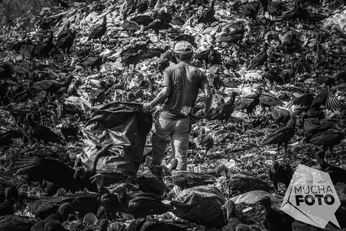 MuchaFoto_'s tweet photo. Mientras muchos nos afligimos por no saber que elegir de comer, o ponernos de ropa, hay personas que viven y sueñan literalmente de la basura que nosotros desechamos.  https://t.co/NLVJ4AYdru https://t.co/d0HQJn3l7P