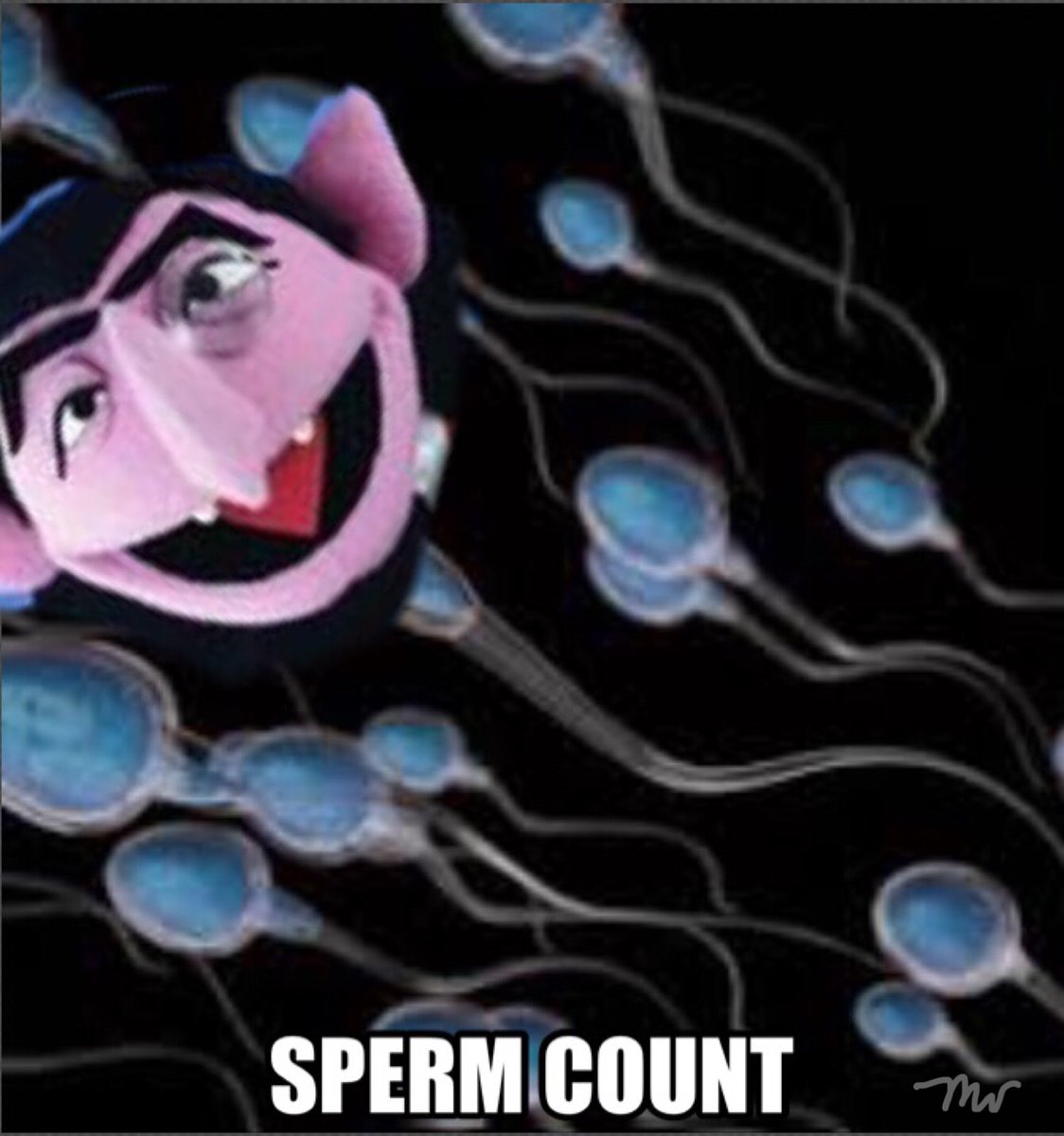 mewsmusing's tweet photo. #puns #spermderp #idontknowhowtopersonletalonetwitter #Punday https://t.co/2fFVzQjxWo