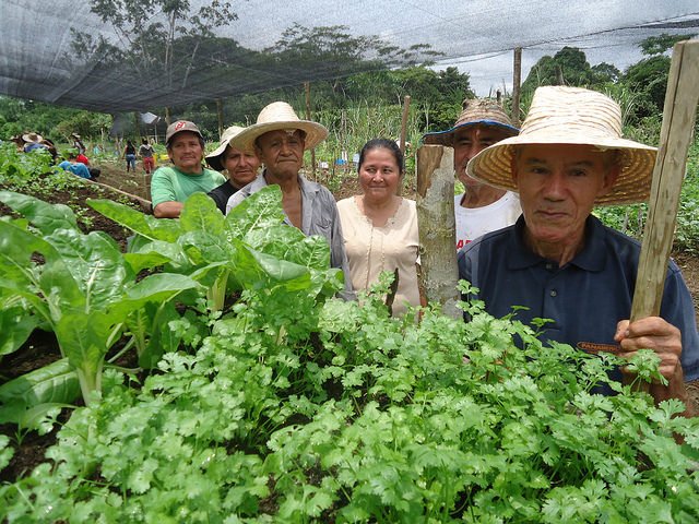 FAO_Colombia's tweet image. La #Agroecologia está cobrando fuerza a nivel mundial como una estrategia eficaz para afrontar el cambio climático y los retos entrelazados de la inseguridad alimentaria y la nutrición 📗 bit.ly/2q9wHPg #UNFAO #Agenda2030