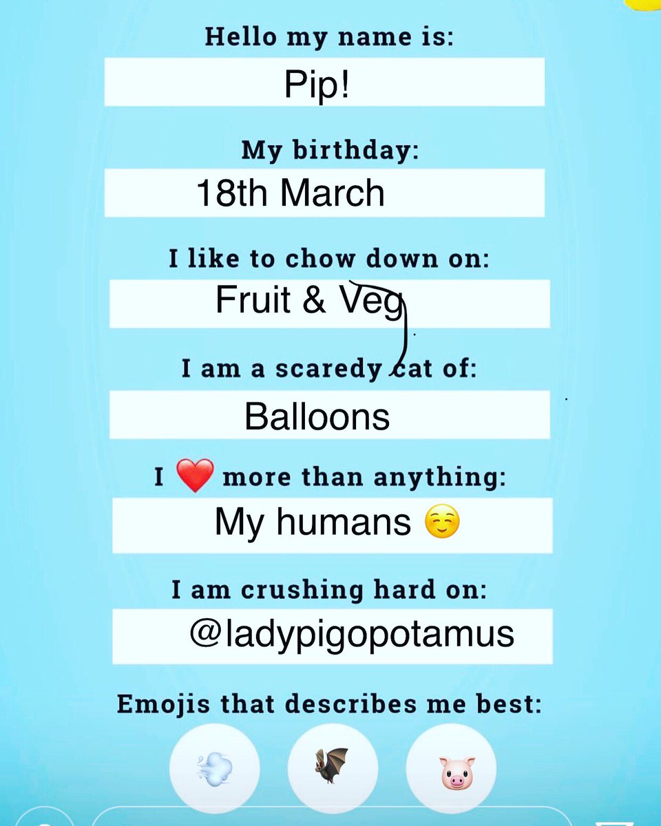 PipthePupp's tweet photo. Few facts about me! #frenchbo #frenchton https://t.co/7IUn41VItA