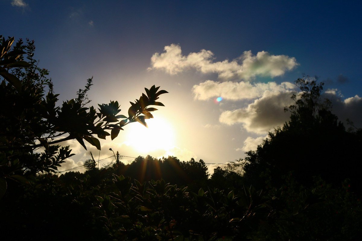 Landscapess_'s tweet photo. Sunset #4 https://t.co/U6Oal9MA3b