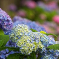 uranai_guide's tweet photo. 【占いガイド：福山市】福山市(広島県)の占い師や霊能者の口コミ情報です。福山市は、広島県内では広島市に次いで2番目に人口の多い中核市になります。隣接する岡山県の井笠… #占い #福山市 https://t.co/4h1z8qCAaZ https://t.co/A3aK8wrMp2
