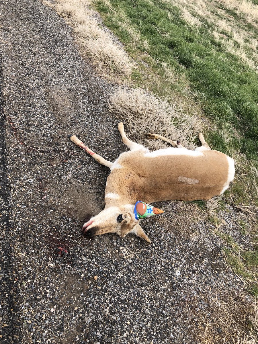 tylersmith703's tweet photo. Rough night ? https://t.co/WVR1DG78vC