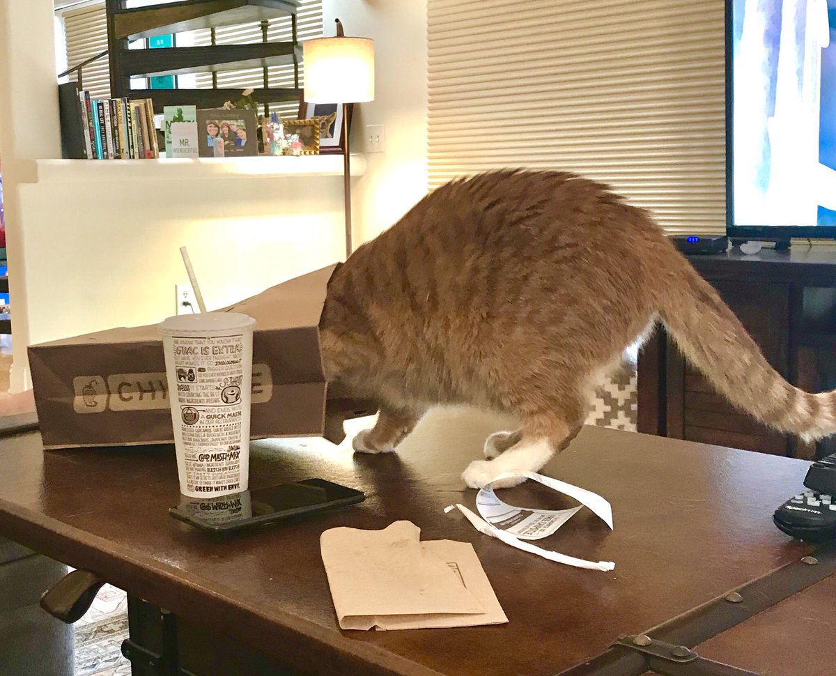 shanedawson's tweet image. same