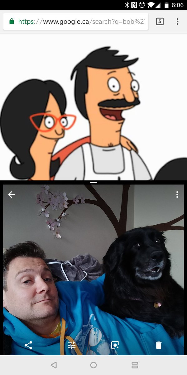findlad's tweet photo. Coincidence? #doggo https://t.co/d93AOmcCBg