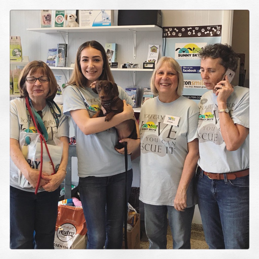 elaine123abc's tweet image. Monday is Koko’s 4th Rescueversary so we dropped by the shelter where I found her with special treats for all the pups awaiting their forever homes to celebrate!! ❤️
#kokocam #dogsofseattle #dachshundsofinstagram #adoptdontshop