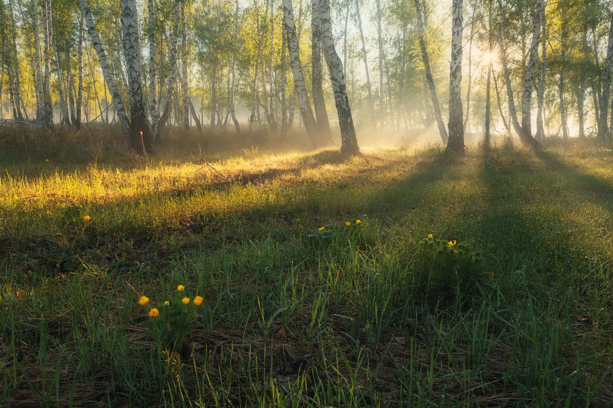 ATCNewsBlogger's tweet image. Все что Вы ищите, мы уже нашли! derzku.blogspot.com/2018/04/istina…