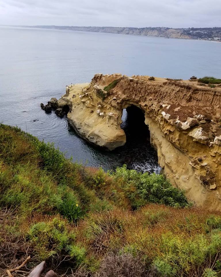 SeaCaveKayaks's tweet photo. Clam Cave and Emerald Cove, as seen from the cliffs. Not too shabby... but why look from afar when you can paddle through it? 
#seacavekayaks  #lajolla  #sandiego  #california  #lajollaseacaves  #kayak #kayaktour #emeraldcove #clamcave https://t.co/qghRNg1z1D